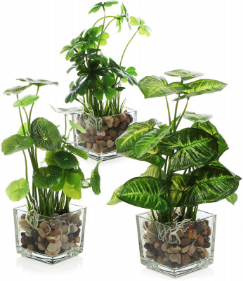 Set 3 Plante Artificiale In Ghiveci De Sticla Pentru Decor foto