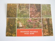 QW27 V - Carte postala - tematica turism - vedere - Romania - Valea Mare 1