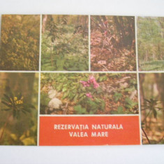 MRC - CARTI POSTALE VALEA MARE NR 1