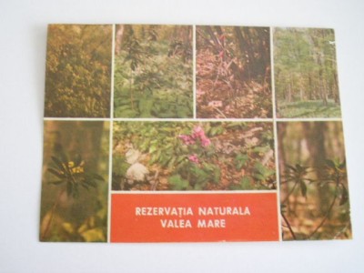 QW27 V - Carte postala - tematica turism - vedere - Romania - Valea Mare 1 foto
