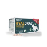 HyalOral Small &amp; Medium Breed, 90 tablete, Farmadiet