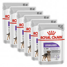 Royal Canin Sterilised Dog Loaf plicule? cu pate pentru caini castra?i 6 x 85 g foto