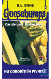 Cumpara ieftin Goosebumps - Nu coboriti in pivnita!