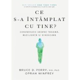 Ce s-a intamplat cu tine? Conversatii despre trauma, rezilienta si vindecare - Bruce D. Perry, Oprah Winfrey