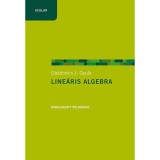 Line&aacute;ris algebra - Kidolgozott p&eacute;ld&aacute;kkal - Ob&aacute;dovics J. Gyula