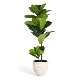 Ficus Fiddle Leaf Artificial Plant 90 cm