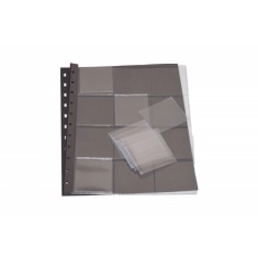 Folie pentru monede, Coin-Combi, cu 12 buzunare de 55 x 55 mm
