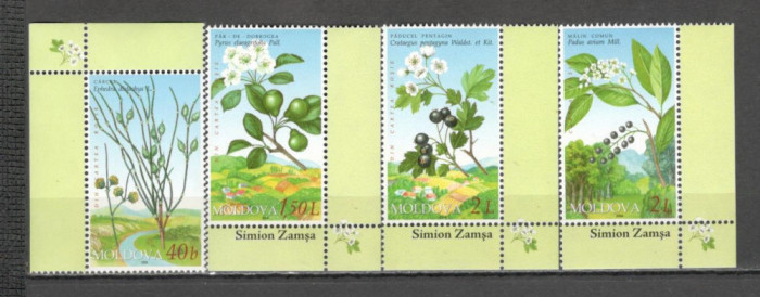 Moldova.2004 Fructe si plante DF.113