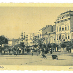 2488 - TARGU-MURES, Market, Romania - old postcard, real PHOTO - unused