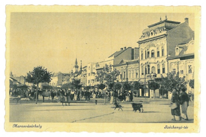 2488 - TARGU-MURES, Market, Romania - old postcard, real PHOTO - unused