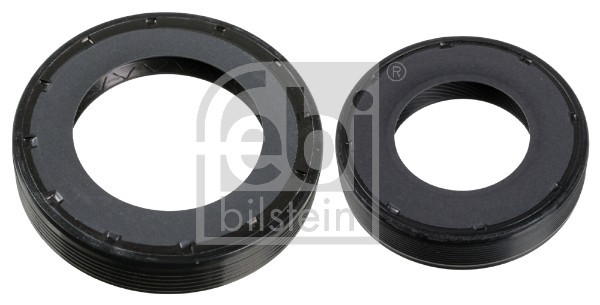 FEBI BILSTEIN 173279 simering, diferential