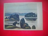 HOPCT 23628 LAC 1964- V PIRK -- RUSIA --MUZEE - CP PICTURA --NECIRCULATAMUNTII