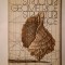 Zamfir Dumitrescu - Structuri geometrice, structuri plastice