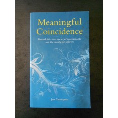 JAN CEDERQUIST - MEANINGFUL COINCIDENCE (limba engleza)
