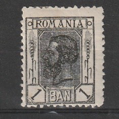 1 Ban Carol I "Spic de Grau" LP 54 1900/1906 Fara Filigran