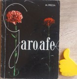 Garoafe M. Preda