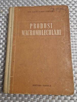 Produsi Macromoleculari Ion Gavat foto