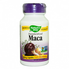 MACA SE 60cps SECOM