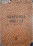 Anatomia omului. Viscere - Z. Iagnov, E. Repciuc (supracoperta uzata)