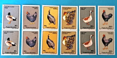 TIMBRE ROMANIA LP1386/1995 PASARI DOMESTICE -serie in pereche -MNH foto