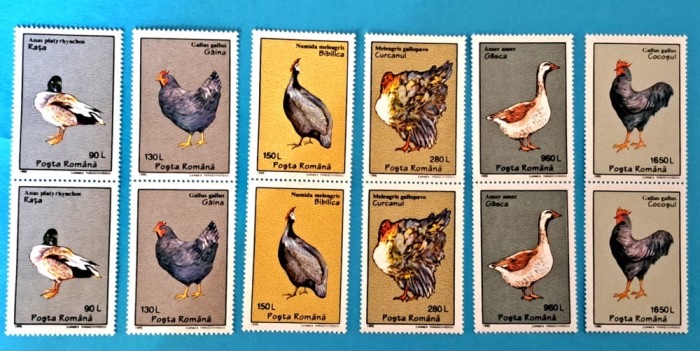 TIMBRE ROMANIA LP1386/1995 PASARI DOMESTICE -serie in pereche -MNH