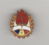 bnk ins Insigna Pionier - alama