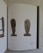 icon 8