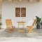 Set Bistro Pliabil 3 buc. Maro Lemn Solid de Acacia - 4