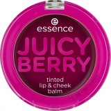Balsam pentru buze si obraji Juicy Berry Tinted Violet, 3g, Essence