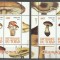 Chad 2010 Mushrooms, 2 perf. sheet, MNH S.116