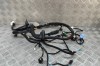 Cablaj ușă dreapta față TESLA MODEL Y 2021 OEM: 1489052-00-E 30309302