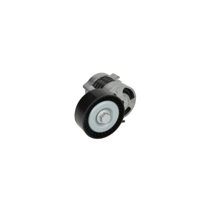 Intinzator curea BMW 3 Cabriolet E46 DAYCO APV2628