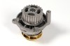 HEPU P545 Pompă de apă, răcire motor
