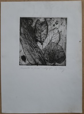 Compozitie cu frunze 2/3 - semnat Tulea B. (Tulea Bianca) foto