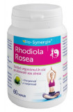 RHODIOLA ROSEA 60CPS