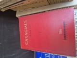 Caragiale Căldură mare vintage