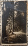 Drumul spre Trei Fagi, Slanic Moldova// CP foto, Foto-Waiss