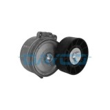 Dayco Intinzator curea, curea distributie