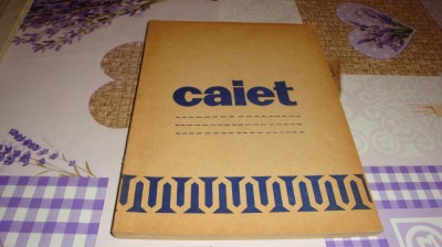 Caiet vechi - Staruinta Bucuresti - /56 foto