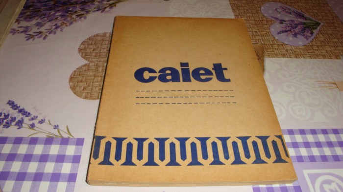 Caiet vechi - Staruinta Bucuresti - /56