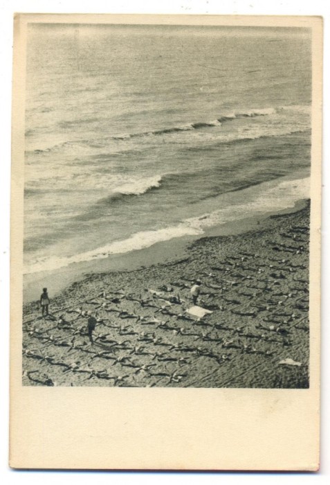 AD 1059 C. P. VECHE - EFORIE - COLONIE DE COPII LA MARE -RPR
