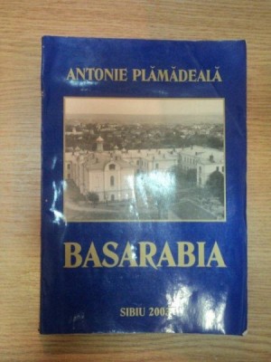 BASARABIA de ANTONIE PLAMADEALA , 2003 foto