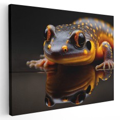 Tablou canvas salamandra cu propria reflexie, portocaliu, negru 1136 Tablou canvas pe panza CU RAMA 20x30 cm