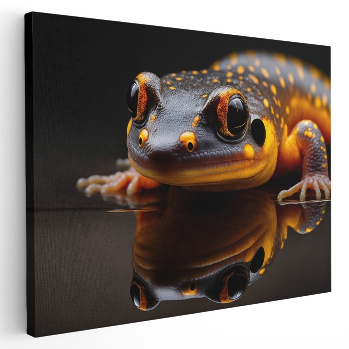 Tablou canvas salamandra cu propria reflexie, portocaliu, negru 1136 Tablou canvas pe panza CU RAMA 60x80 cm