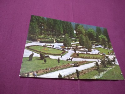 CARTE POSTALA BORSEC -PARCUL CENTRAl CIRCULATA foto