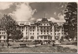 CPIB 22032 - CARTE POSTALA - SINAIA. HOTEL PALACE