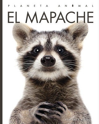 El Mapache foto