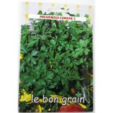 Seminte patrunjel de frunze