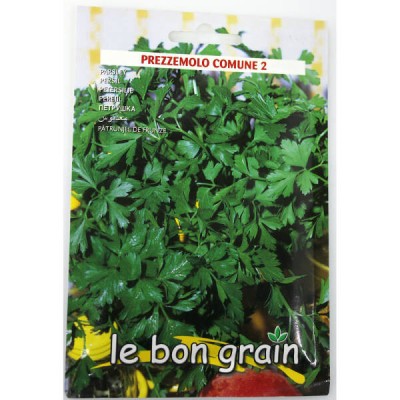 Seminte patrunjel de frunze foto