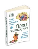 Norul Necunoasterii. O carte despre contemplatie sau cum este unit sufletul cu Dumnezeu